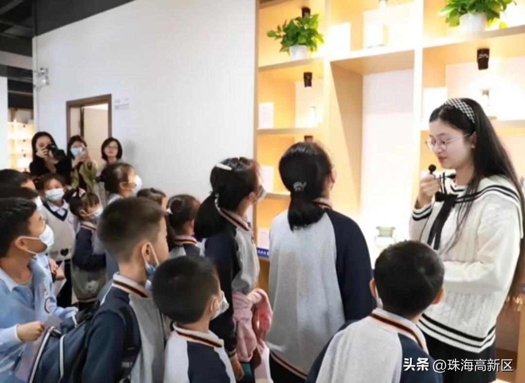 澳门最快开奖直播金凤,探索彩票文化的魅力与激情,澳门金凤彩票直播,探寻彩票文化的魅力与激情之夜