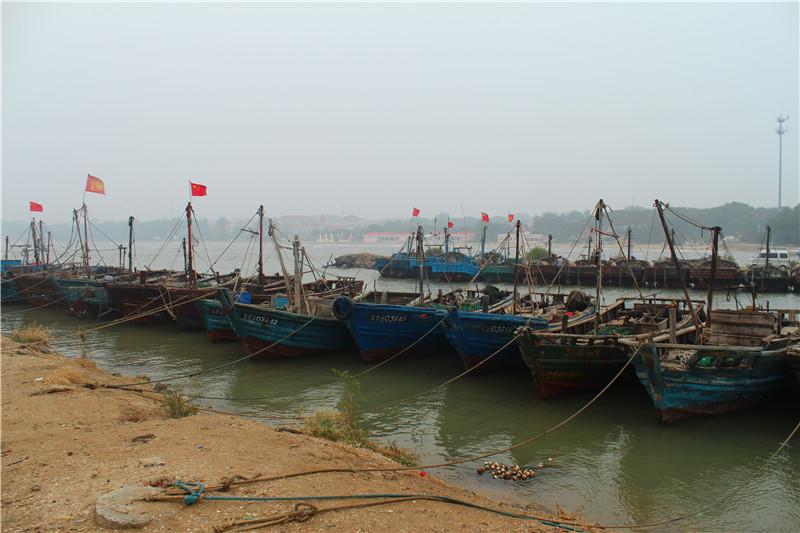 北京野生动物园自驾攻略，北京野生动物园自驾游攻略指南