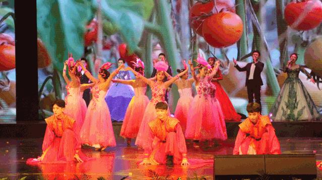 2022年春节联欢晚会，璀璨的舞台展现文化的魅力，2022年春节联欢晚会，璀璨舞台展现文化魅力之夜