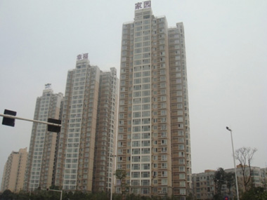 构建幸福家园网站，共创和谐幸福的网络社区，共建幸福家园网站，打造和谐幸福网络社区新篇章