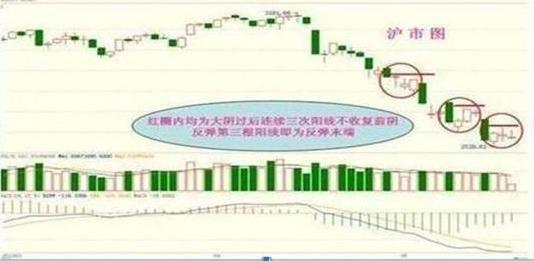 深度解读000665千股千评,股市中的独特视角与精准分析,深度解读股市中的独特视角与精准分析,千股千评000665揭秘股市风云