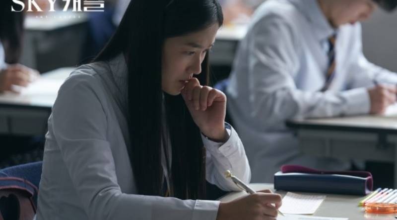 韩国年轻人的世界,挑战、机遇与未来展望,韩国年轻人面临的挑战、机遇与未来展望