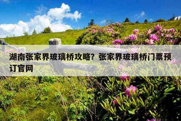 张家界玻璃桥门票,探索高空透明的奇迹之旅,张家界玻璃桥门票,高空透明奇迹之旅探秘