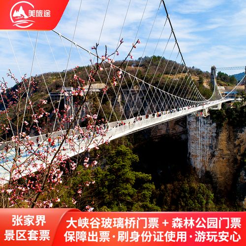 张家界玻璃桥门票,探索高空透明的奇迹之旅,张家界玻璃桥门票,高空透明奇迹之旅探秘
