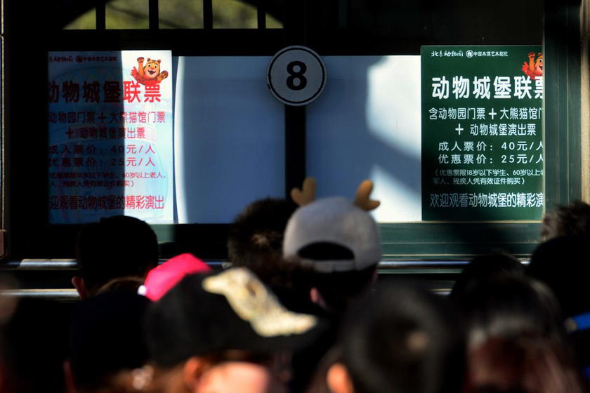 北京动物园门票预约攻略,北京动物园门票预约攻略详解