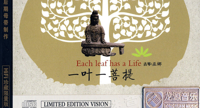 瑜伽之歌，一叶一菩提的禅意与和谐旋律，瑜伽之歌，禅意菩提与和谐旋律的交织