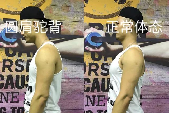 塑造完美身材,下胸肌锻炼攻略,下胸肌锻炼指南,塑造完美身材的秘诀