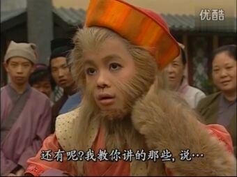 西游记张卫健版,经典中的独特韵味,张卫健版西游记,经典独特韵味再现荧屏