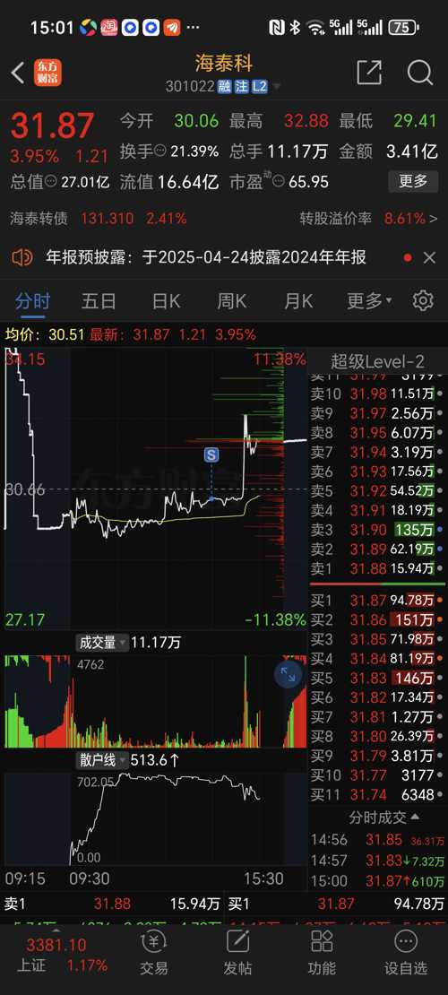 海泰科股票,投资潜力与市场前景分析,海泰科股票,投资潜力与市场前景深度解析