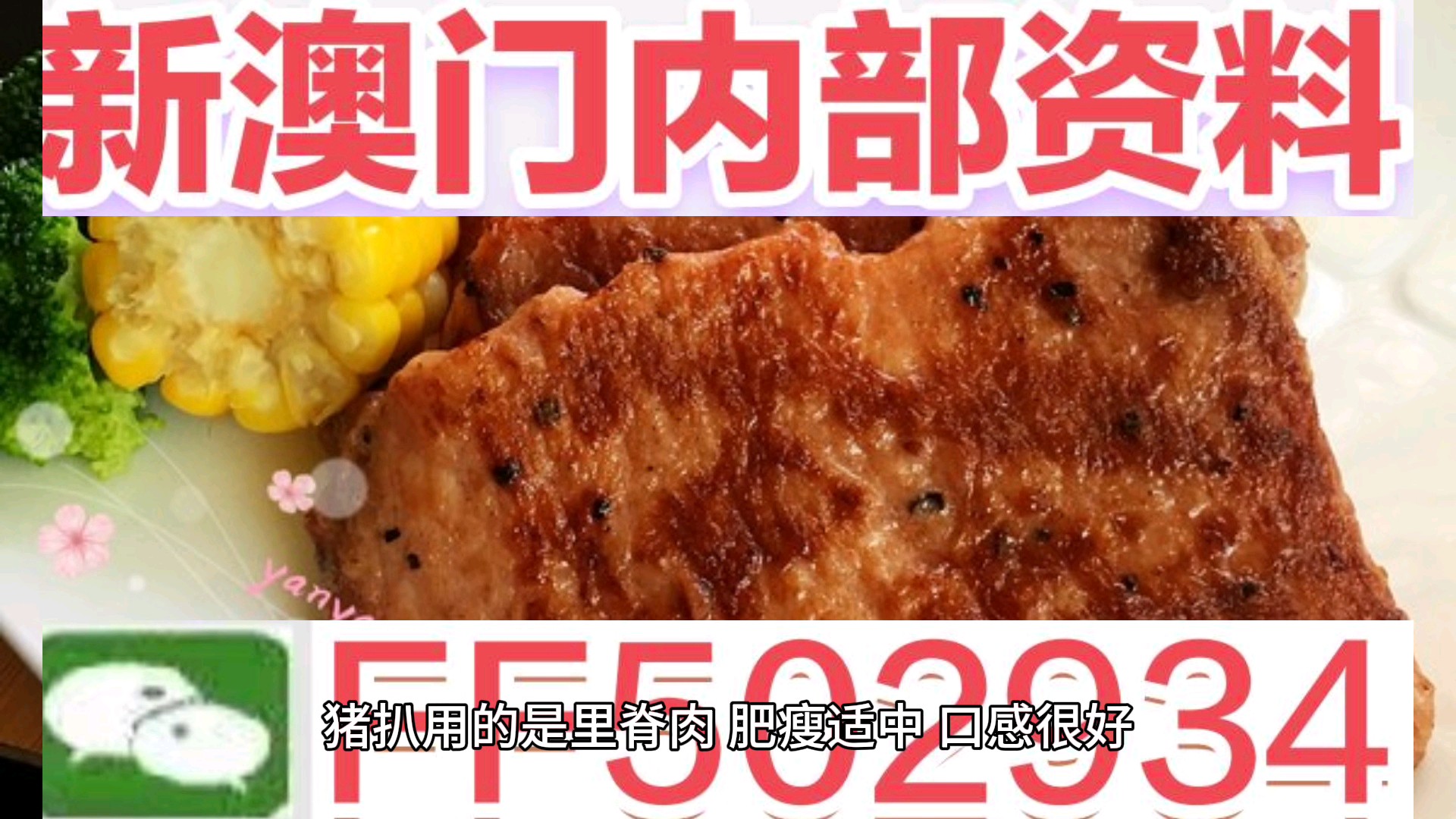 澳门特马今晚开奖116期，探索彩票背后的文化与社会影响，澳门特马第116期开奖，探索彩票背后的文化与社会影响