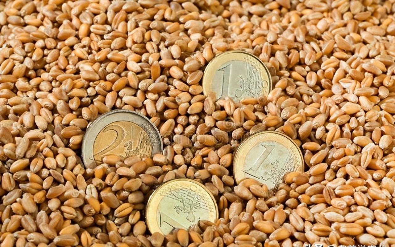 股市今日实时行情深度分析(XXXX年XX月XX日),股市今日实时行情深度解析(XXXX年XX月XX日版)