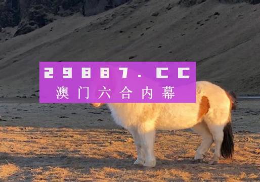 澳门今晚必开一肖一特之探索第284期,澳门第284期生肖特码探索,今晚必出一肖一特