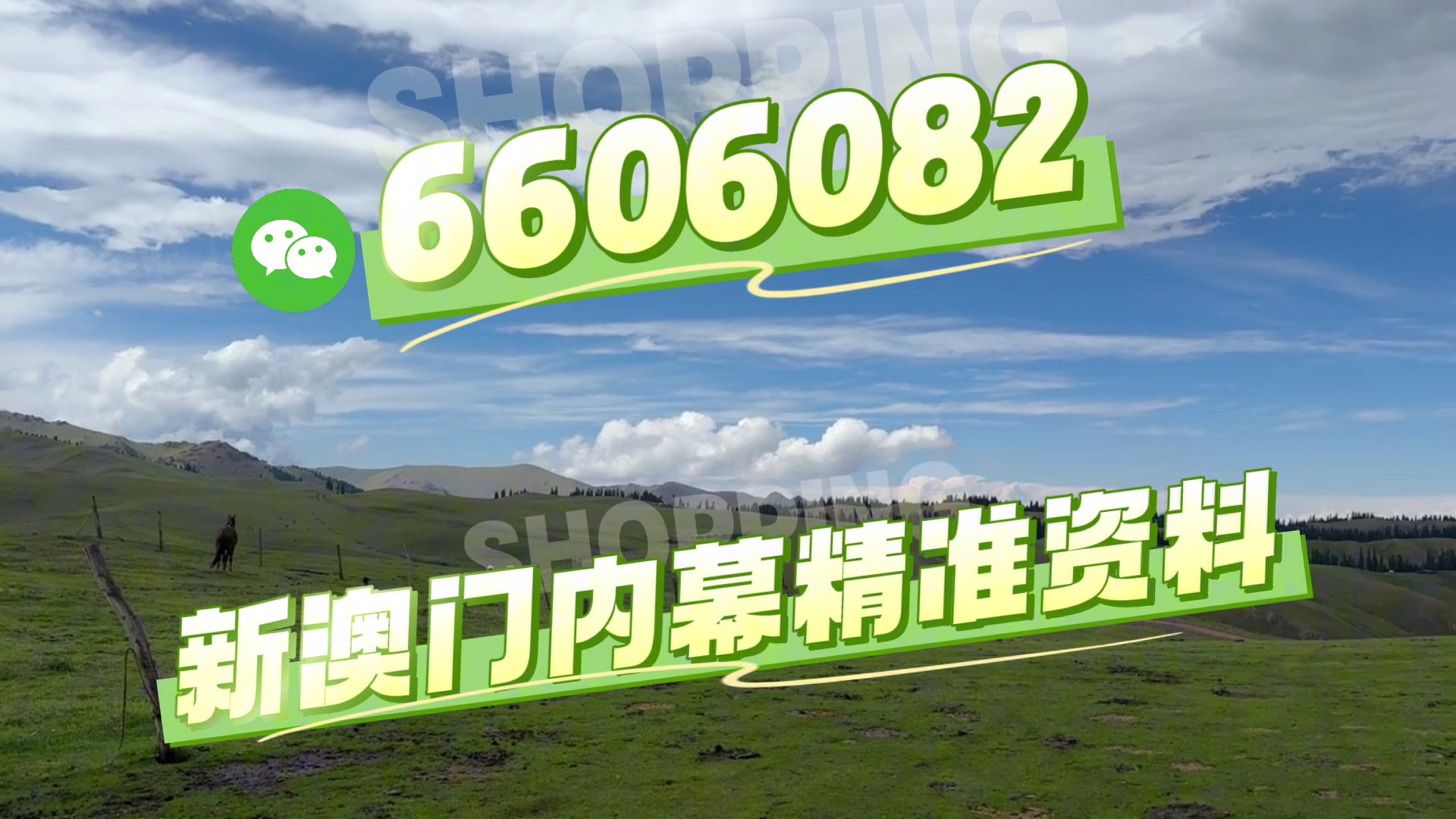 澳门资料大全正版资料2025年免费,探索与了解,澳门正版资料探索与了解,2025年免费资料大全
