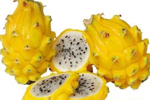 火龙果的功效与作用,揭示其健康益处与潜在价值,火龙果的健康益处与潜在价值,全面解析其功效与作用