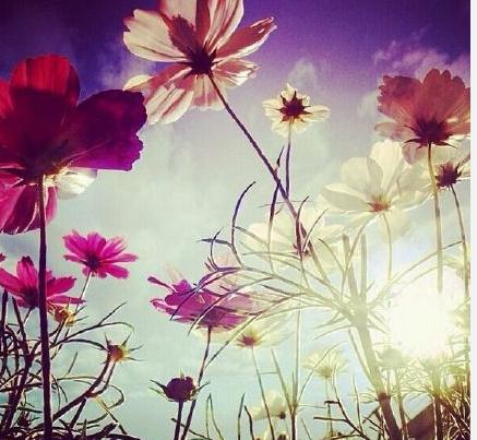 让爱留在心底，电视剧的魅力与免费观看的美好，电视剧的魅力，让爱留在心底与免费观看的美好体验