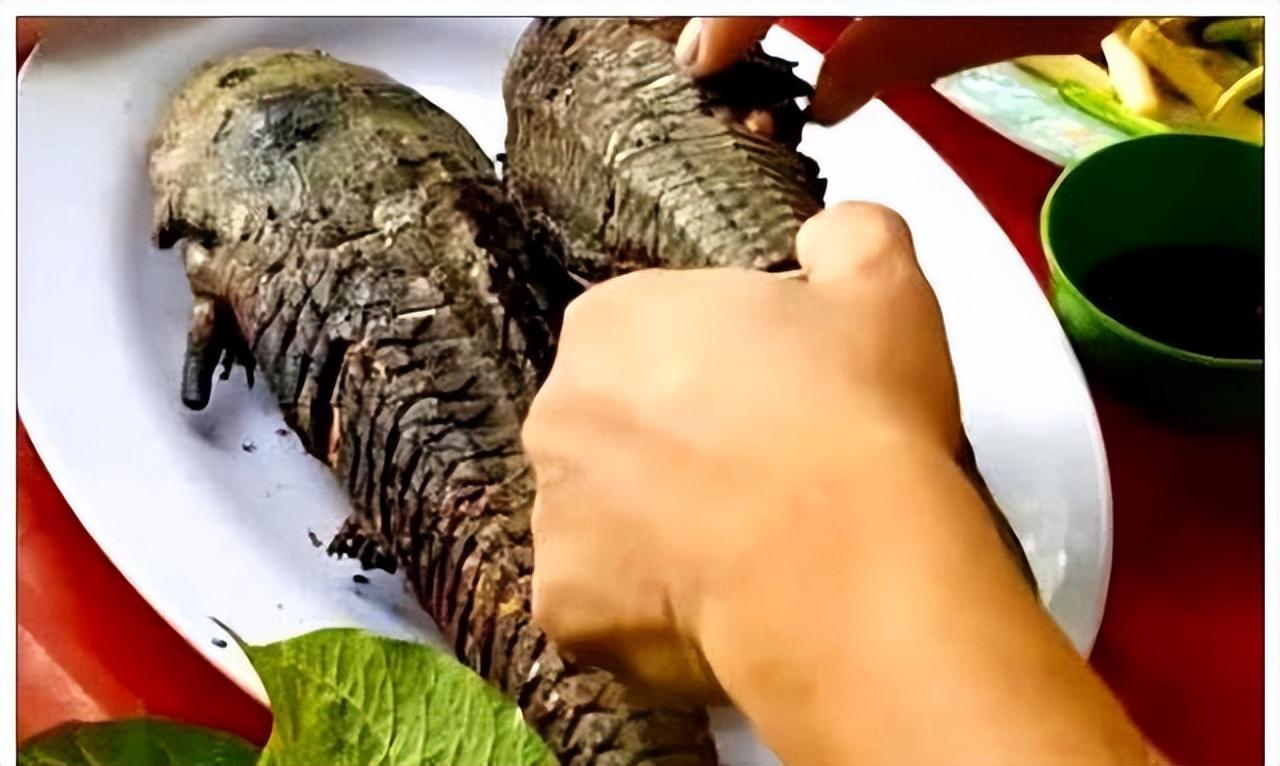 揭秘十大垃圾鱼,认识并防范这些潜在的健康威胁,揭秘十大垃圾鱼,如何防范潜在的健康威胁?