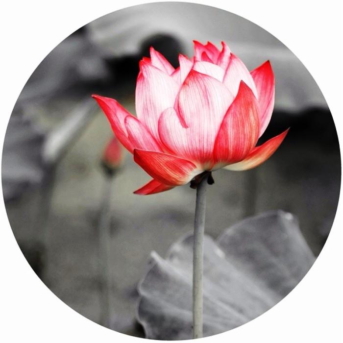 深度与涵养，探寻有内涵的句子的魅力，深度与涵养，探寻有内涵句子的魅力之源