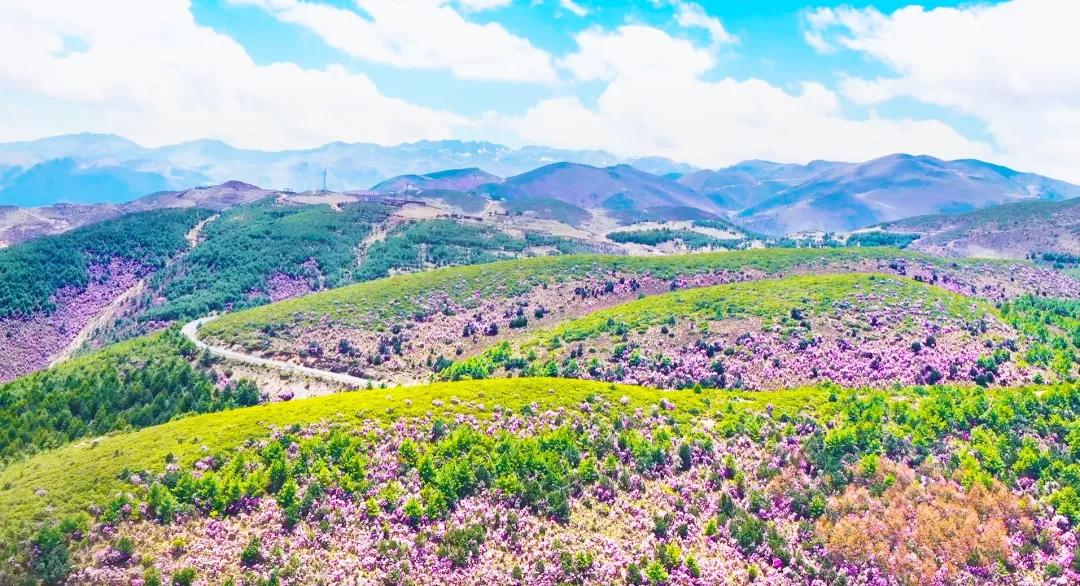 昆明旅游攻略,景点大全与地图导航,昆明旅游全攻略,景点大全、地图导航一网打尽