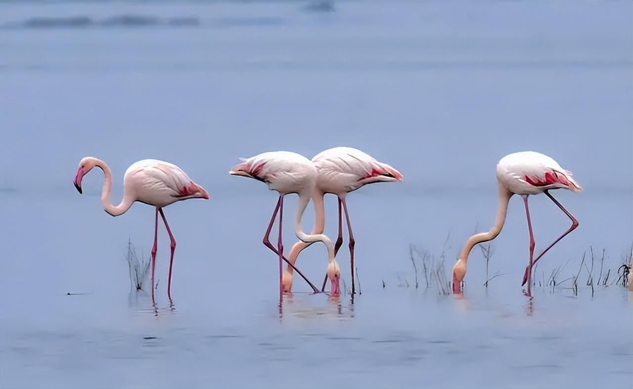 运城约会吧——探寻浪漫之城的独特魅力,运城约会胜地探寻,浪漫之城的独特魅力