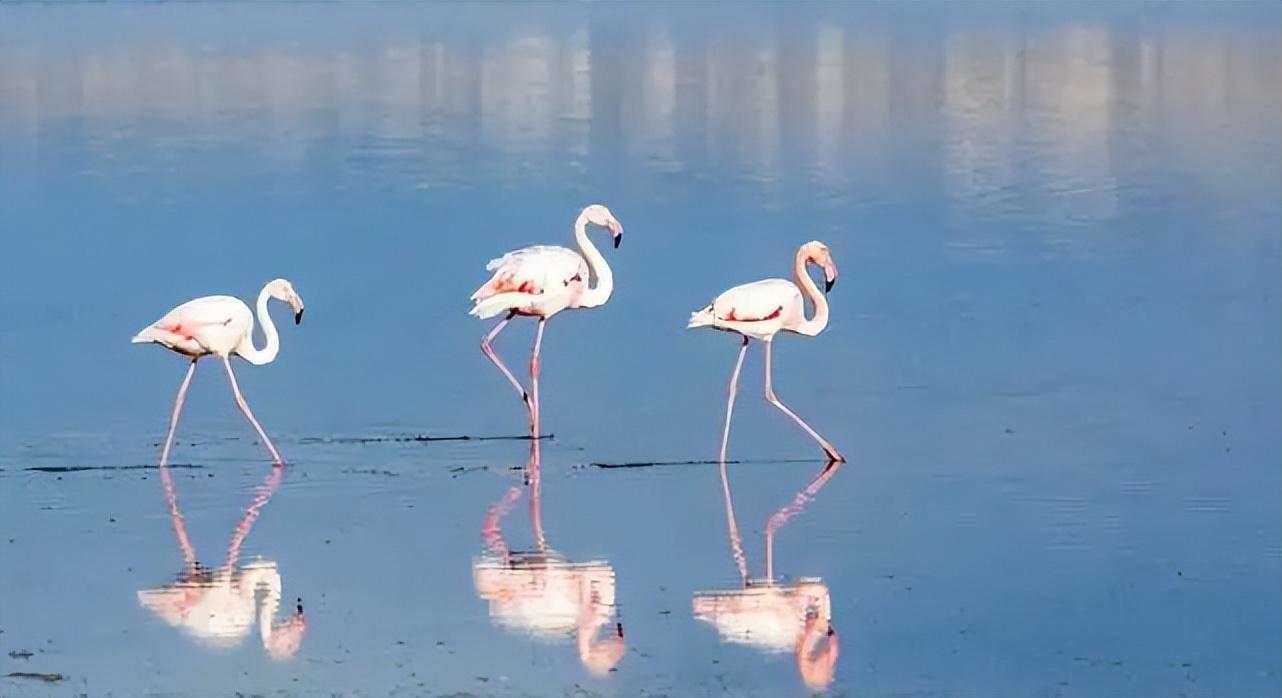 运城约会吧——探寻浪漫之城的独特魅力,运城约会胜地探寻,浪漫之城的独特魅力