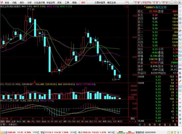 国统股份牛叉诊股,深度解析与前景展望,国统股份牛叉诊股深度解析及前景展望