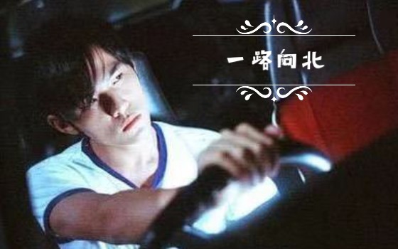 一路向北，高清在线观看的魅力体验，一路向北，高清在线观看的极致体验