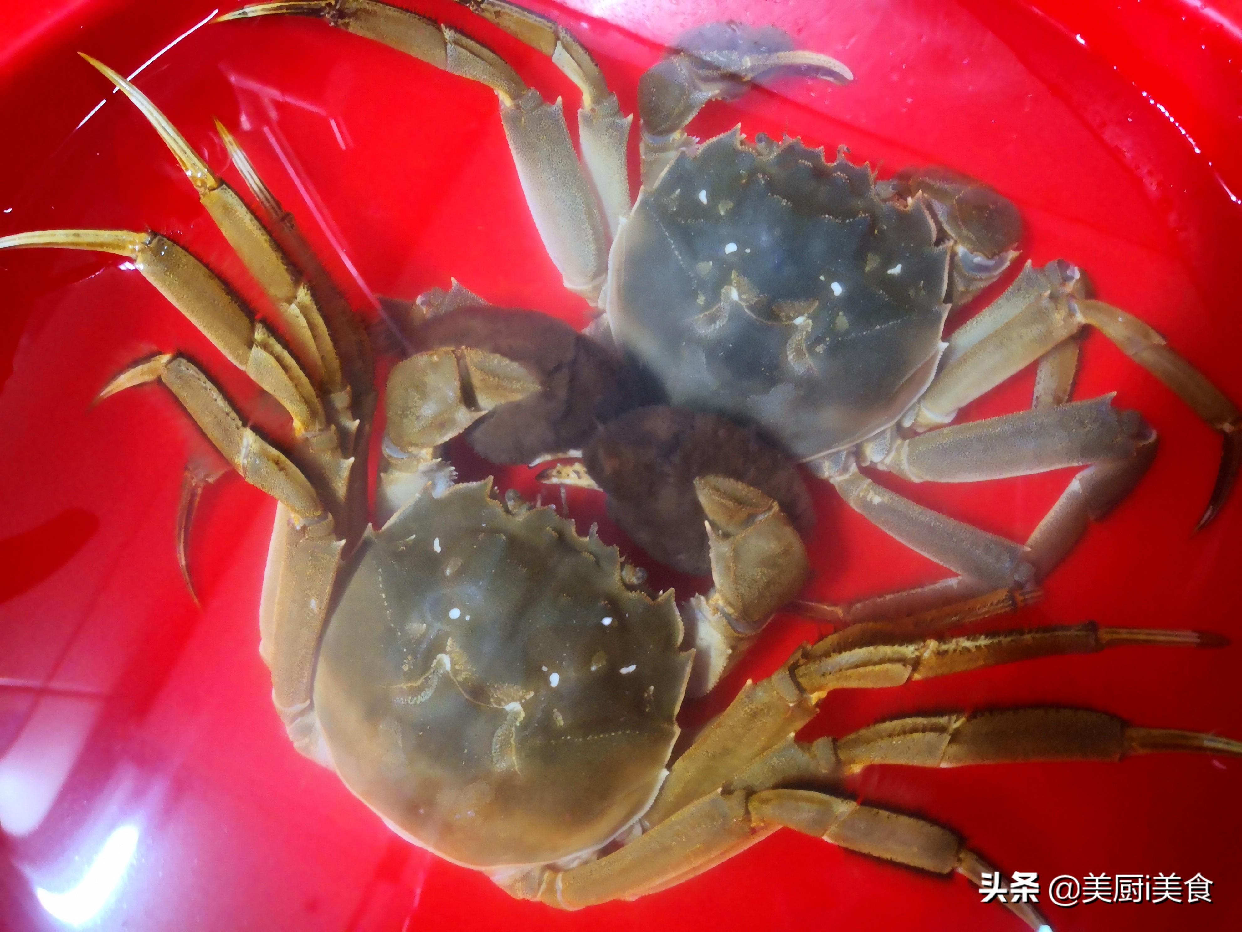 正确的蒸螃蟹方法，正确蒸螃蟹的方法攻略