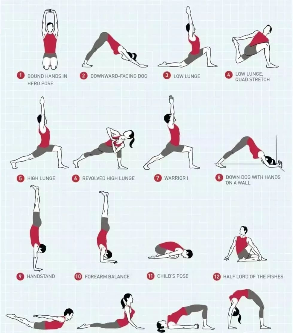 瑜伽课程编排顺序与原则,瑜伽课程编排顺序与原则详解