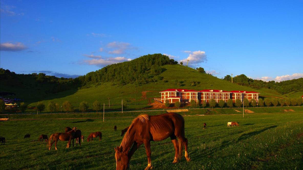关山牧场，自然与人文的和谐交响，关山牧场，自然与人文的和谐乐章