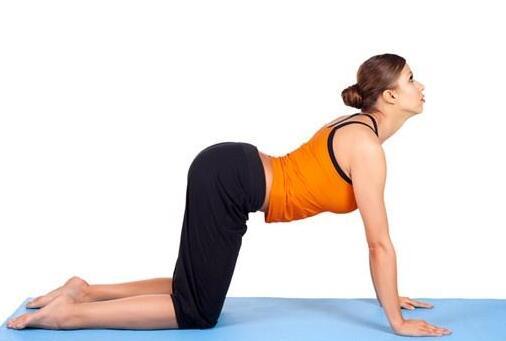 瘦肚子最简单的动作——打造完美腹部线条的秘诀，瘦肚子秘诀，简单动作打造完美腹部线条