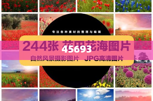 揭秘精准新管家——7777888888的力量，揭秘精准新管家——数字7777888888背后的力量