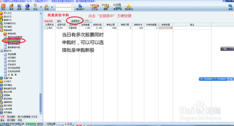 新股申购与中签查询，探索股市投资的神秘之旅，新股申购与中签查询，股市投资的神秘之旅探索