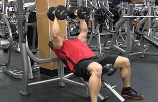 在家打造完美胸肌，哑铃锻炼胸肌动作指南，在家打造完美胸肌，哑铃锻炼胸肌动作全攻略