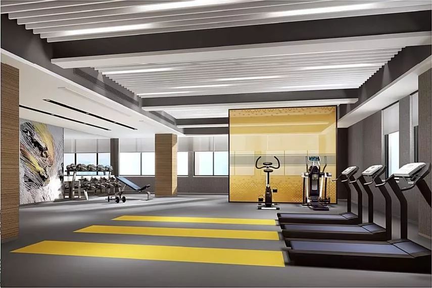 健身房效果图片大全,探索健康与力量的视觉盛宴,健身房效果图片集锦,健康与力量的视觉探索