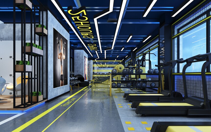 健身房效果图片大全,探索健康与力量的视觉盛宴,健身房效果图片集锦,健康与力量的视觉探索