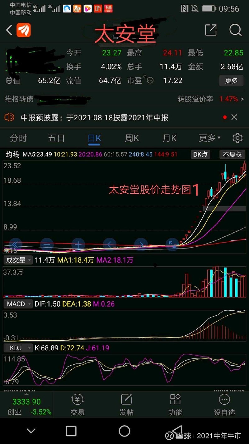 ST太安堂股票的投资价值与前景展望,ST太安堂股票的投资价值深度解析与前景展望