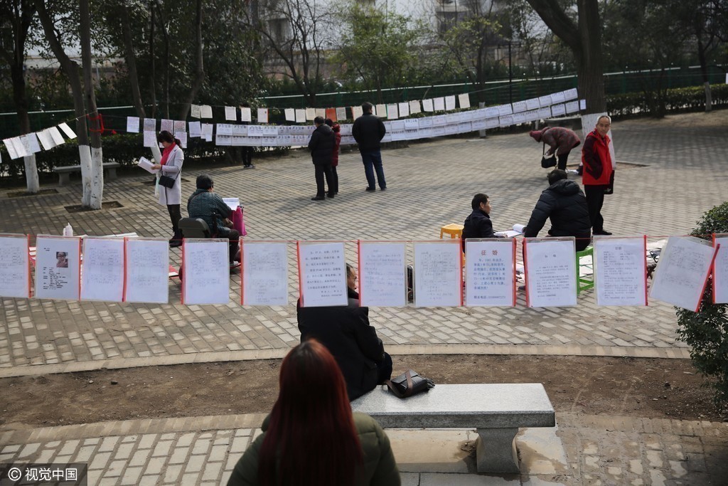 盐城相亲角，探寻现代婚恋的新视角，盐城相亲角，现代婚恋新视角探寻之旅