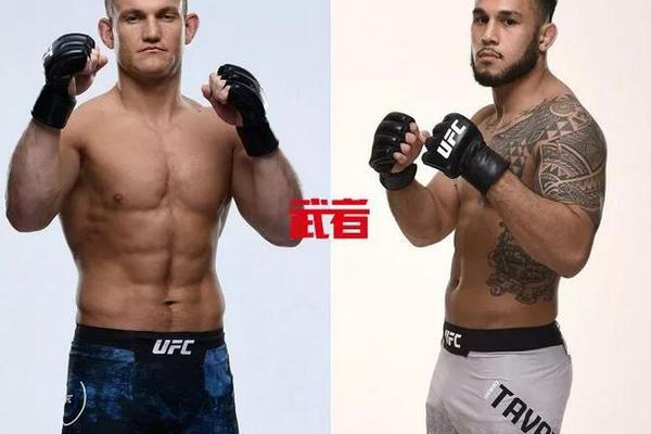 澳门六下彩资料开奖结果,探索与解析,澳门六下彩开奖结果探索与解析