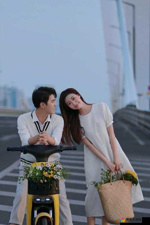 最美情侣，一部免费观看的高清电视剧的魅力，最美情侣高清电视剧，免费观看的魅力所在