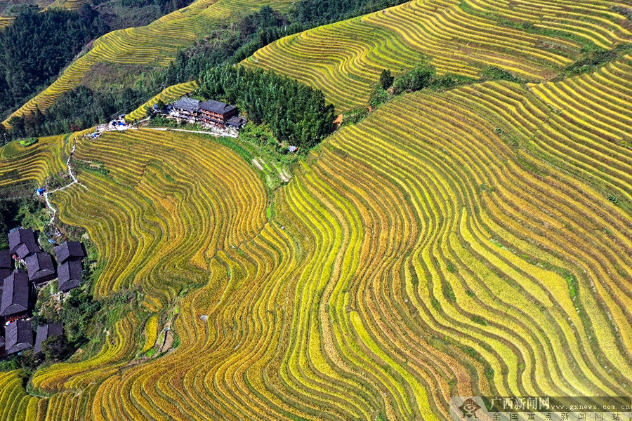 龙胜梯田,自然与人文的绝美交响,龙胜梯田,自然与人文的和谐交响乐章