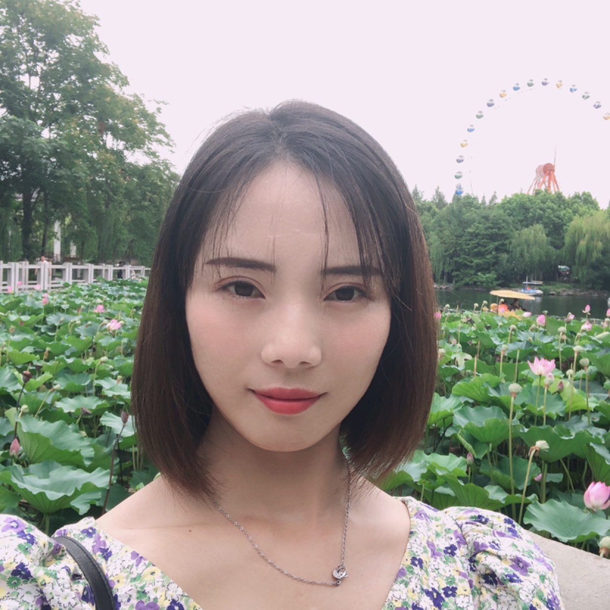 合肥附近交友，探索城市周边的社交魅力，合肥周边社交探索，城市交友之旅