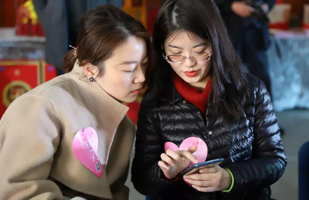 单身约，一场自由与选择的旅程，单身约，自由与选择的浪漫旅程