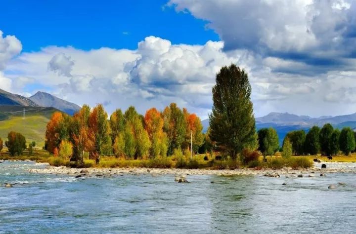 十一月旅游好去处——探寻秋季最美的风景画卷,十一月旅游好去处,秋季风景画卷探寻之旅