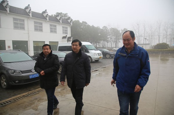 定远县征婚信息,寻找缘分,共筑美好未来,定远县征婚启事,寻找伴侣,共筑美好未来