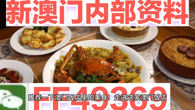 新澳门天天资讯，探索与发现的时代魅力，新澳门天天资讯，探索与发现的时代魅力