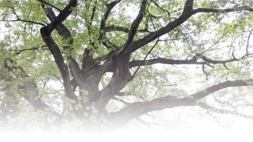 贵州遵义未来15天的天气预报及影响分析,贵州遵义未来15天天气预报及气象影响分析