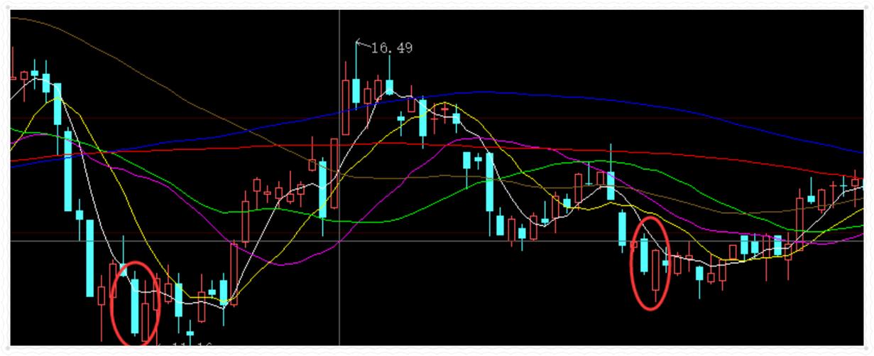 市场趋势与前景展望