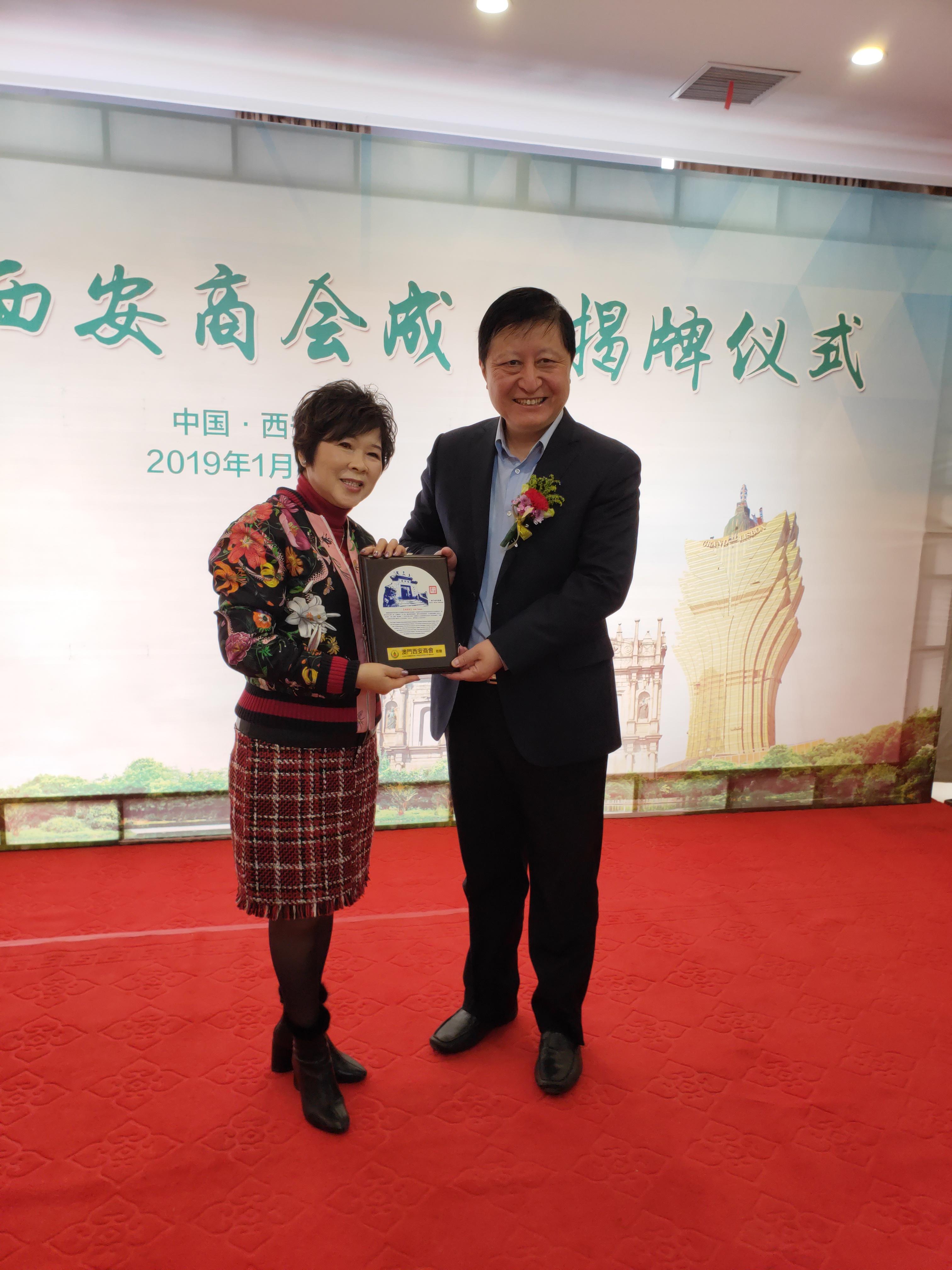 新澳门今晚精准一肖预测——探索命运的神秘领域，澳门今晚精准生肖预测，命运神秘领域的探索