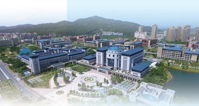 新澳门免费资料大全在线查看，探索与解读，新澳门免费资料在线探索与解读大全