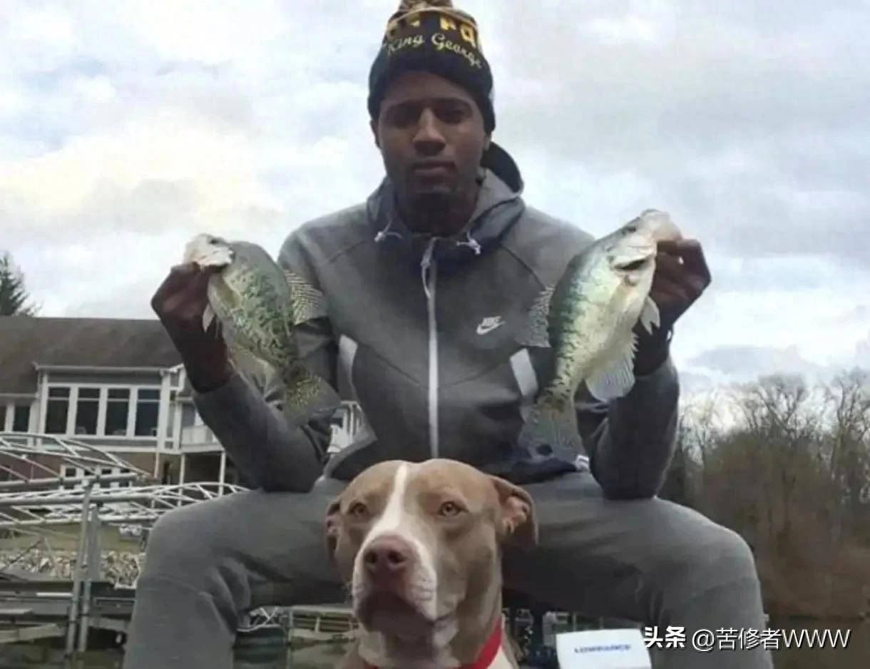 澳门最准四不像，神秘与魅力的独特融合，澳门神秘四不像，独特魅力的融合之旅